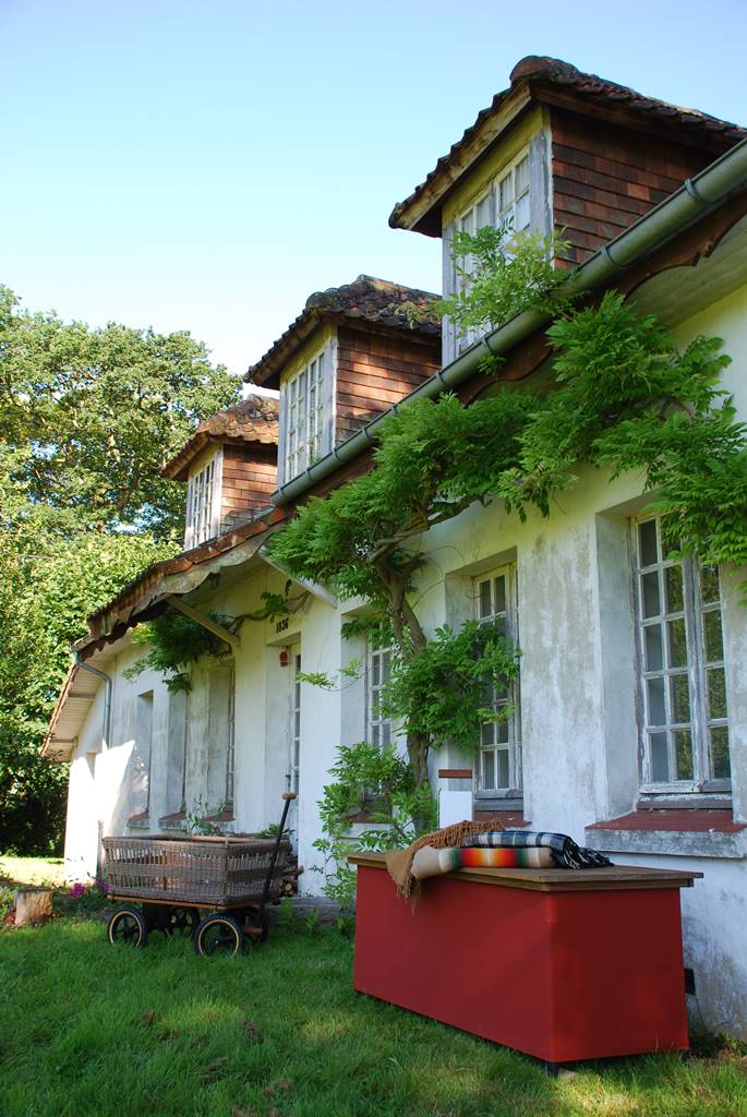 Chest'r (4) Chest'r (4)