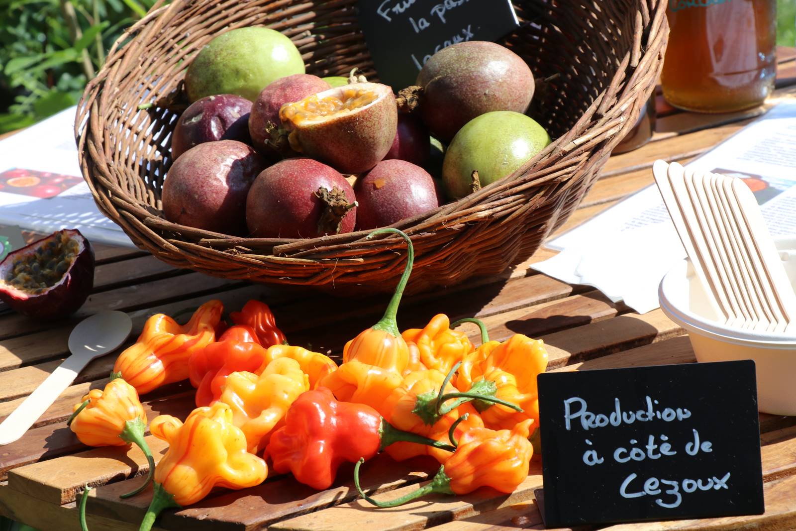 Jardin comestible (2)