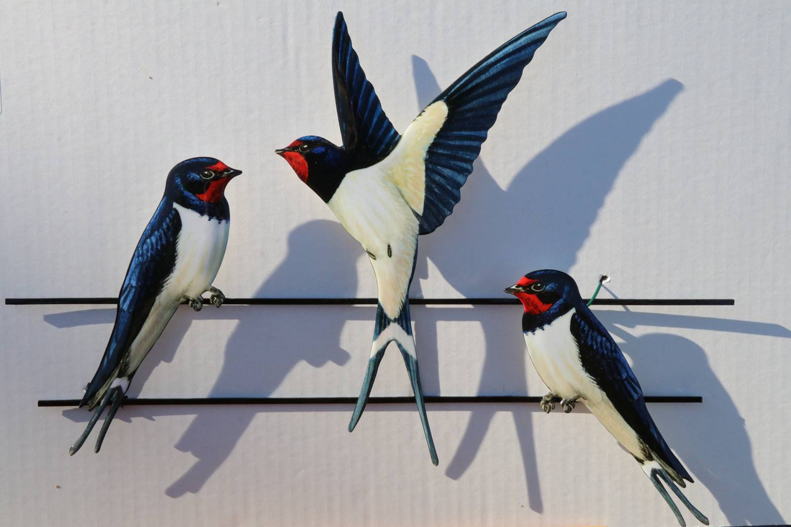 Marc Morlot Mesange et hirondelles (1)