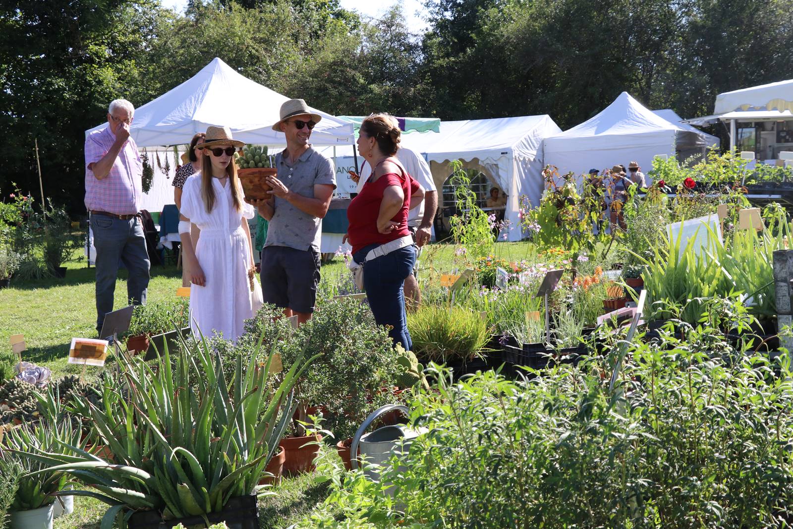Stands La Croze (10)