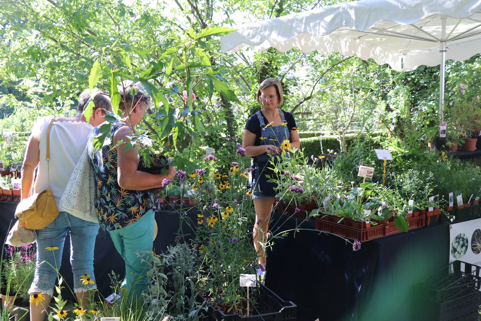 Stands La Croze (11)