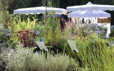Fête des plantes des Jardins de la Croze