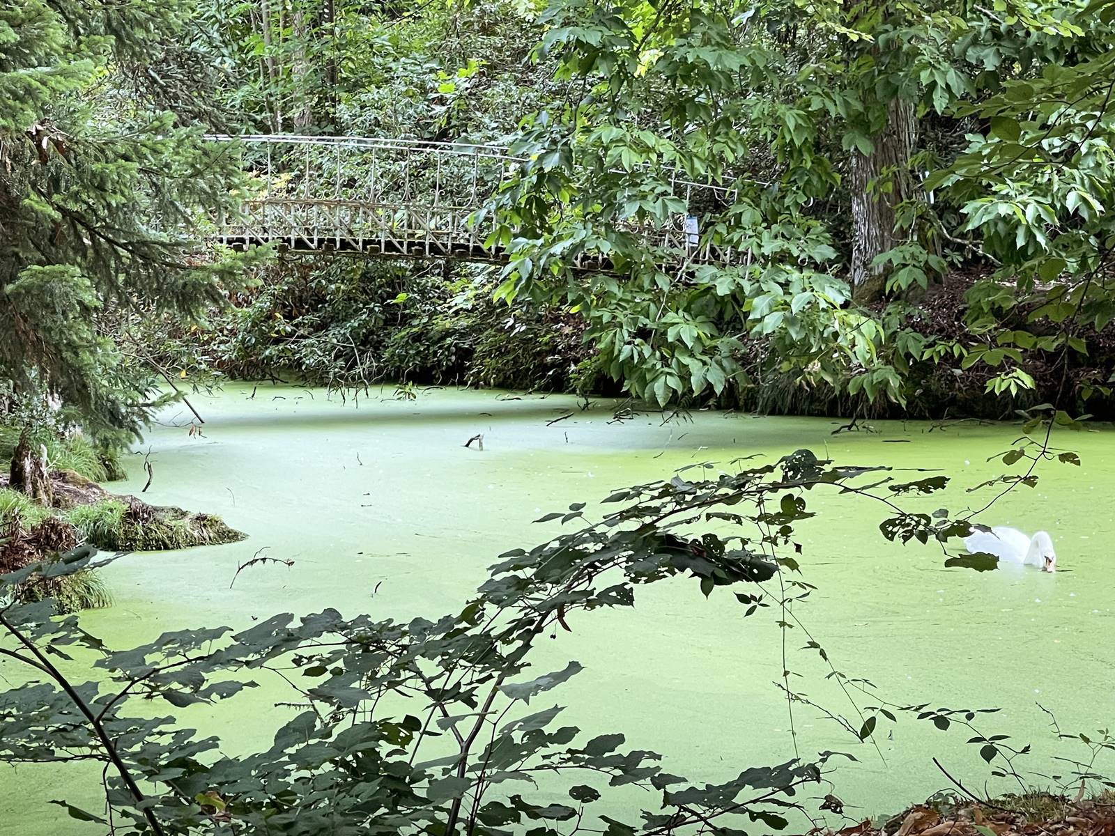 parc de Balaine (10) parc de Balaine (10)