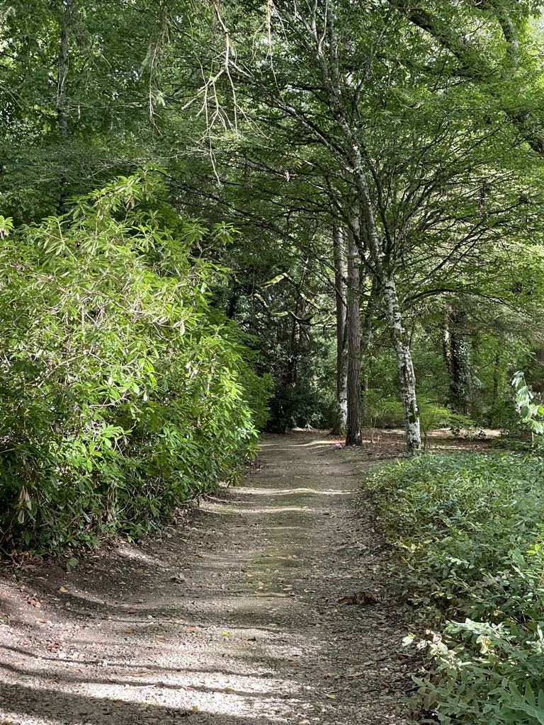 parc de Balaine (14) parc de Balaine (14)