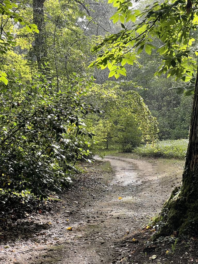 parc de Balaine (15) parc de Balaine (15)