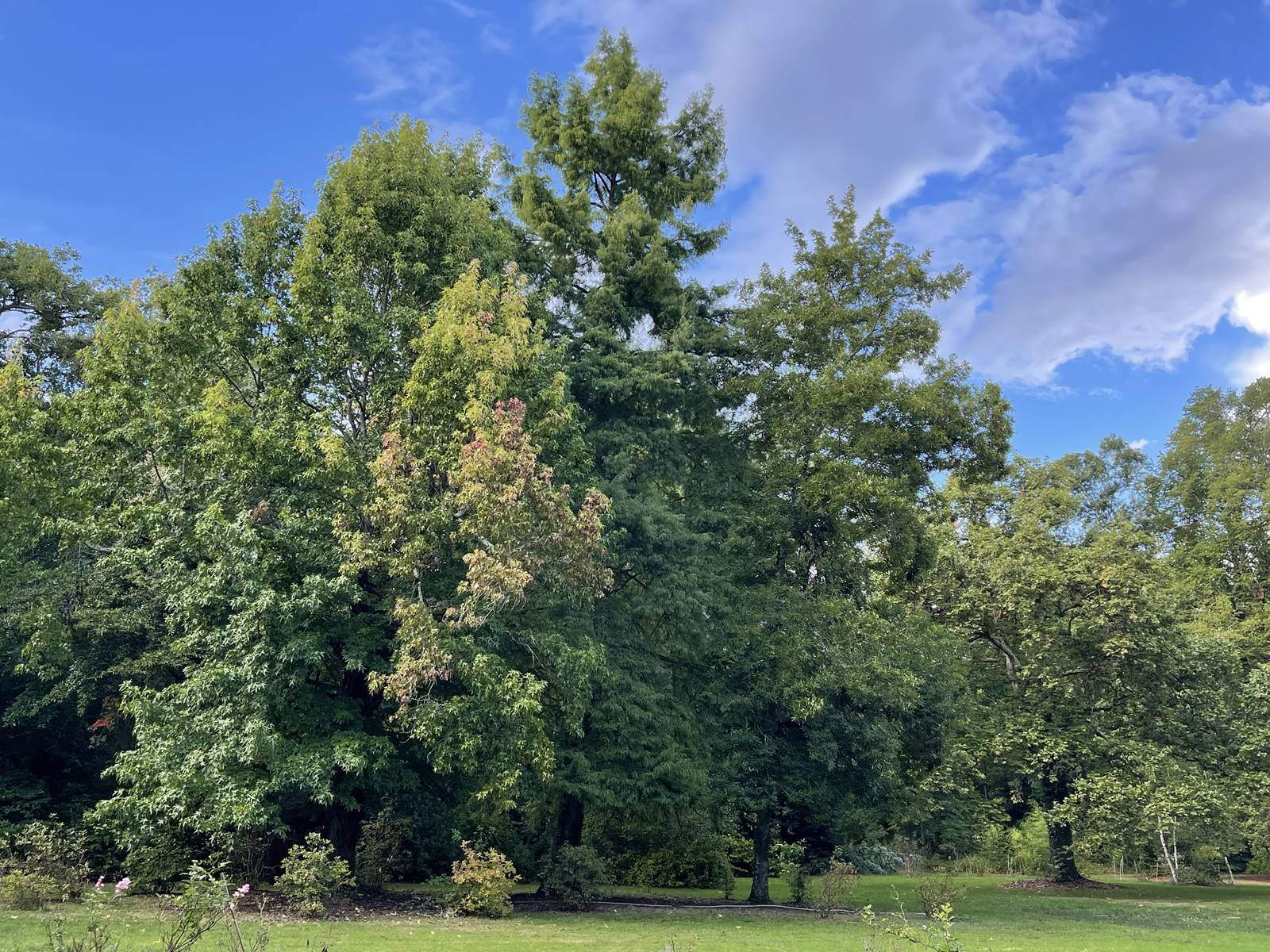 parc de Balaine (21) parc de Balaine (21)