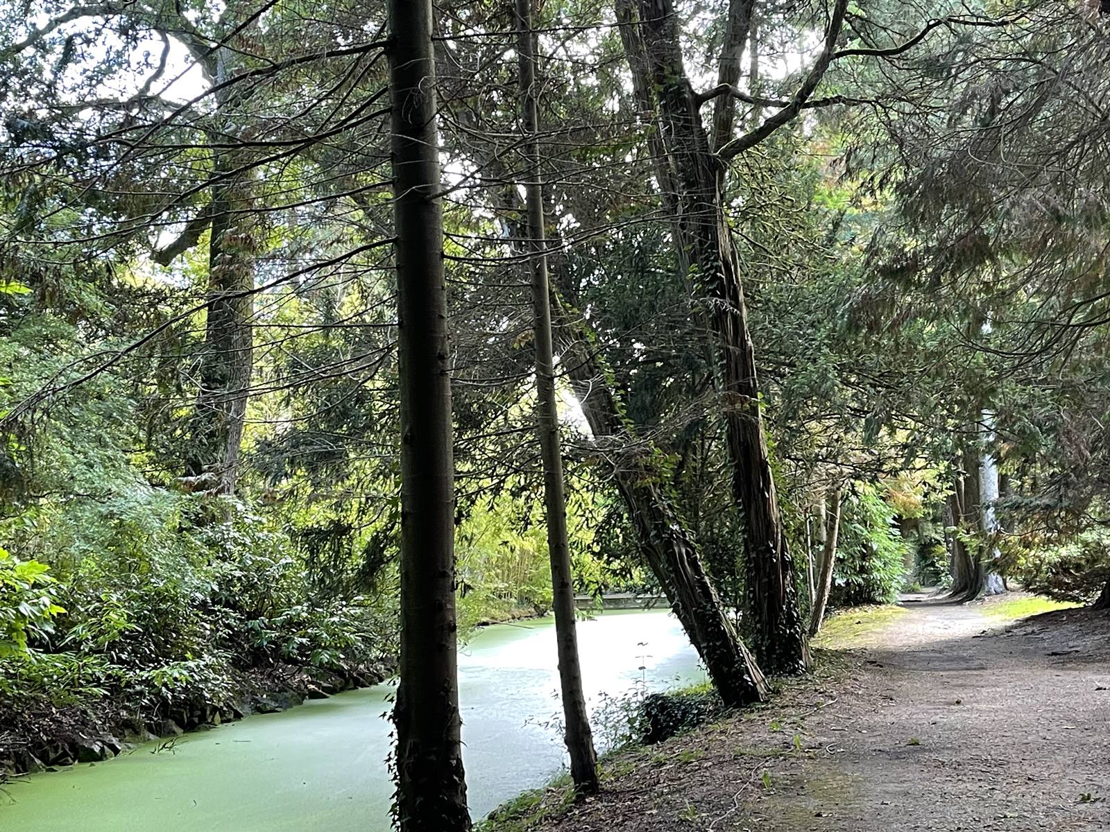 parc de Balaine (23) parc de Balaine (23)