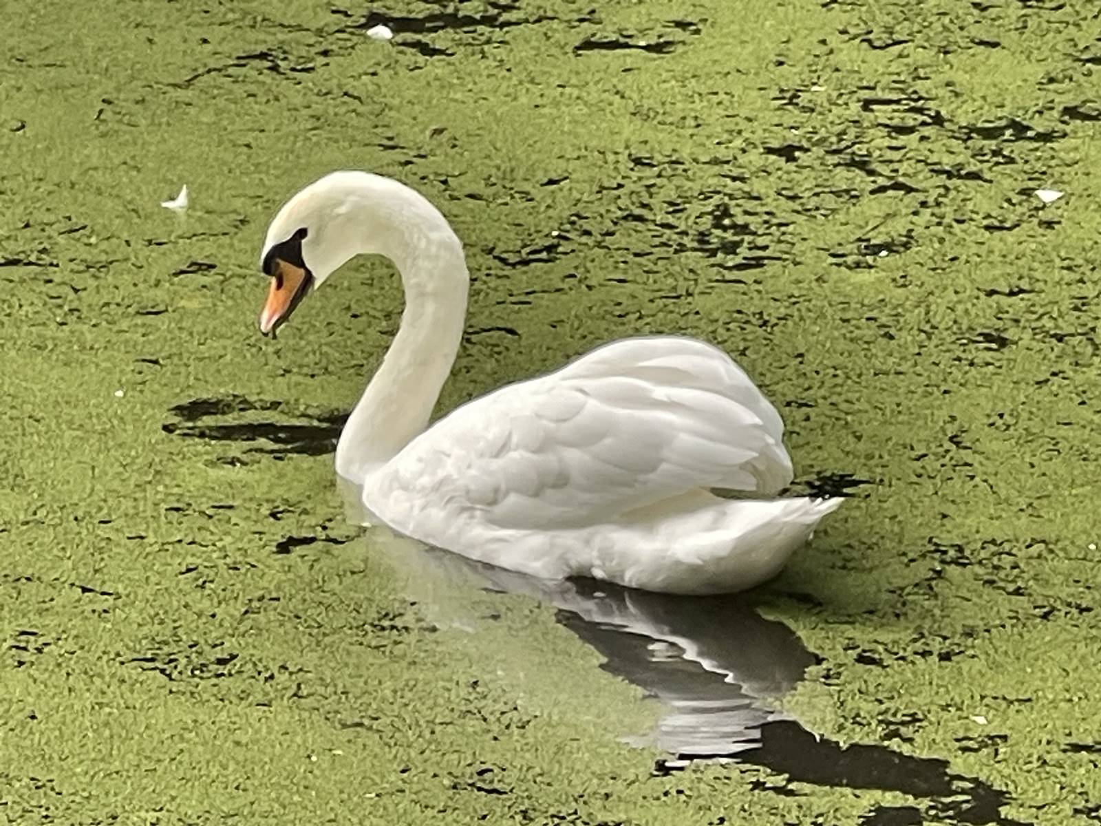 parc de Balaine (26) parc de Balaine (26)