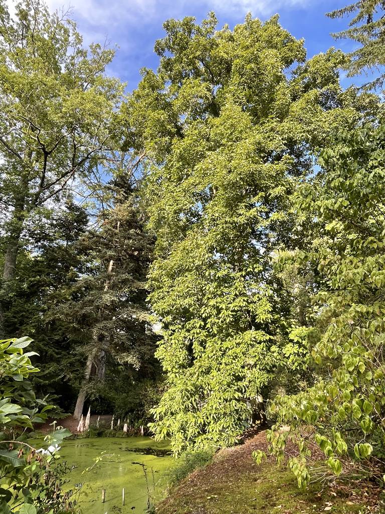 parc de Balaine (27) parc de Balaine (27)