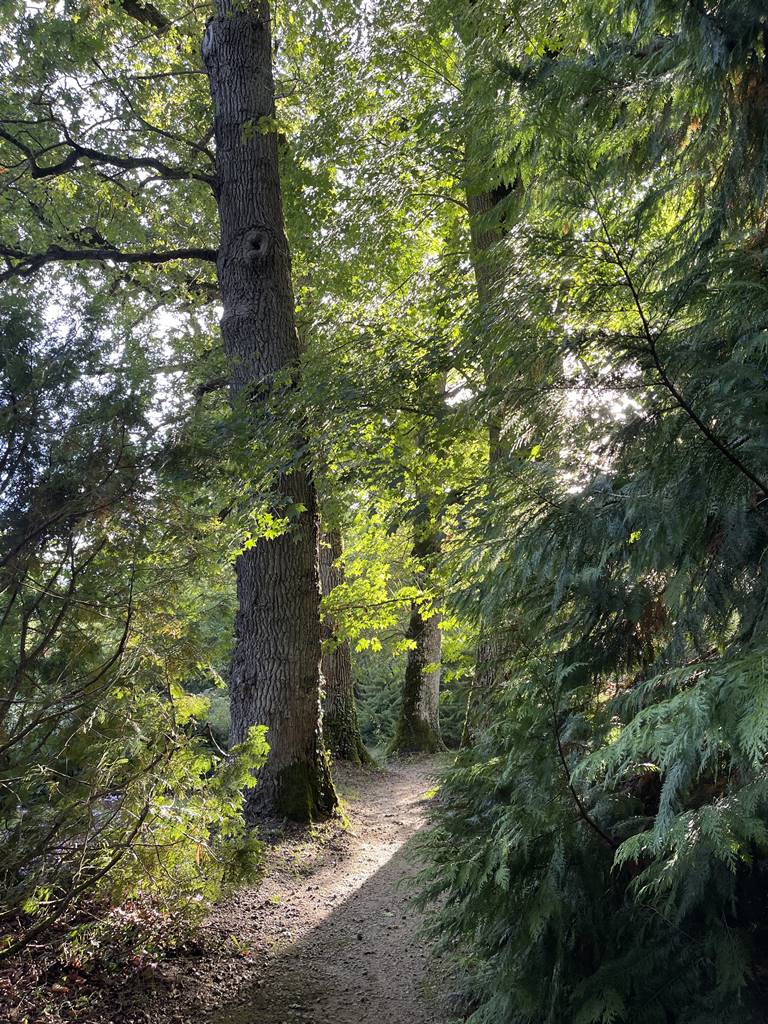 parc de Balaine (30) parc de Balaine (30)