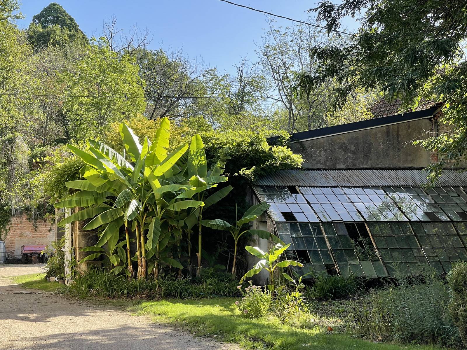 parc de Balaine (44) parc de Balaine (44)