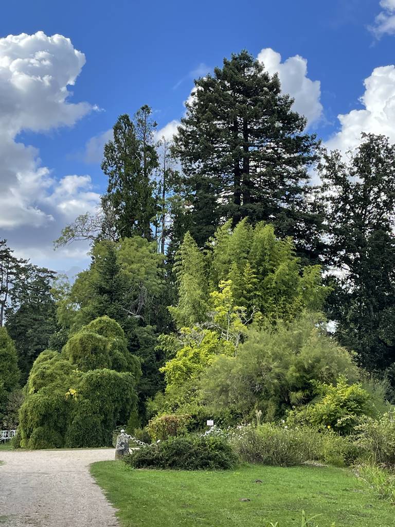 parc de Balaine (6) parc de Balaine (6)