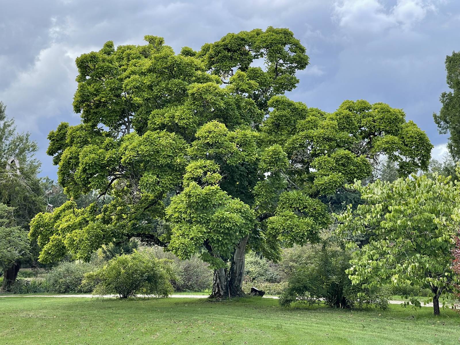 parc de Balaine (7) parc de Balaine (7)