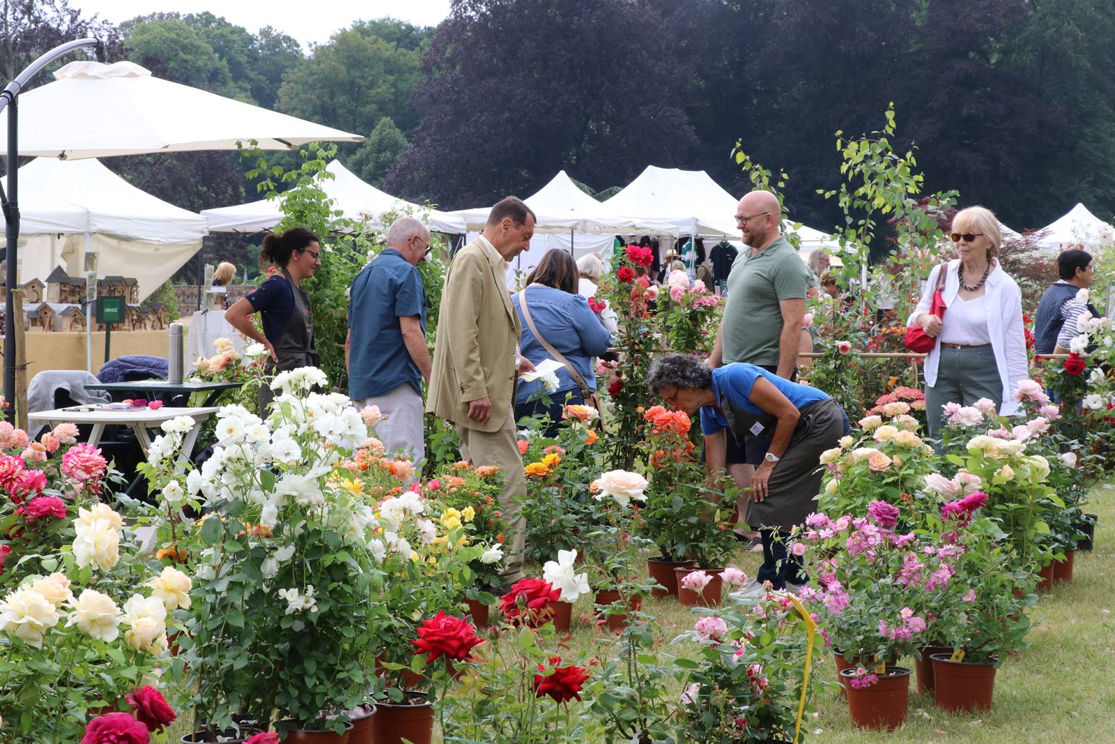 Fête des Jardiniers au Lude (12)