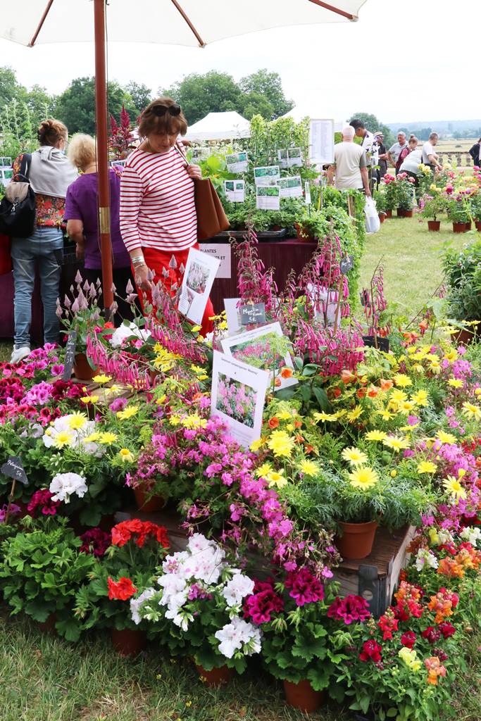 Fête des Jardiniers au Lude (16)