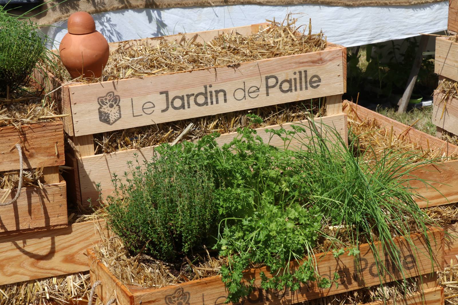 Fête des Jardiniers au Lude (23)