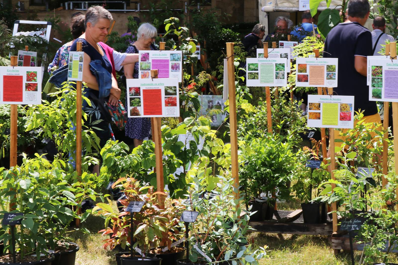 Fête des Jardiniers au Lude (24)