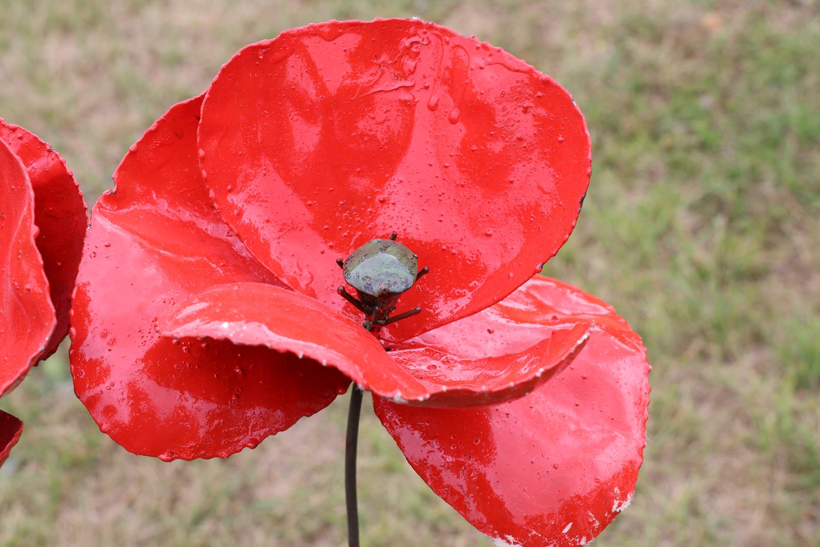 Fête des Jardiniers au Lude (4)