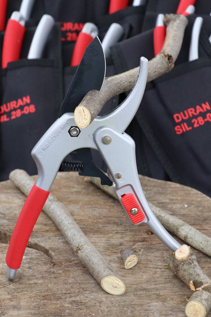 Fête des Jardiniers au Lude (6)