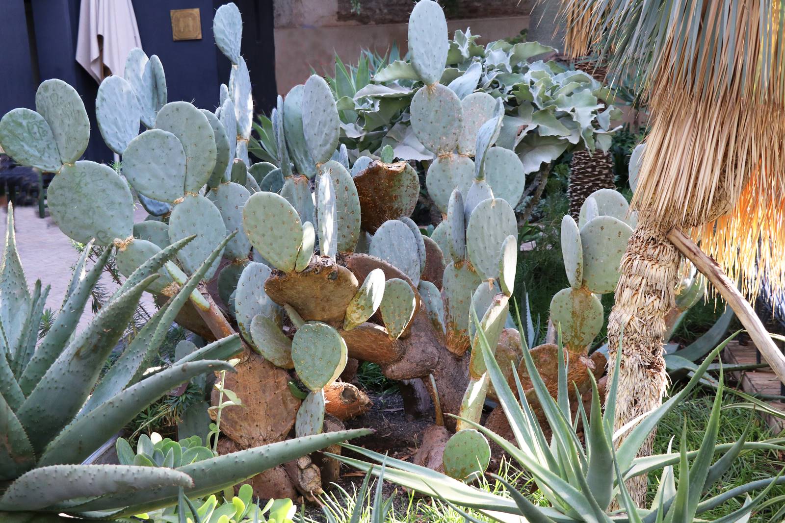 Jardin Secret Marrakech (1) Jardin Secret Marrakech (1)