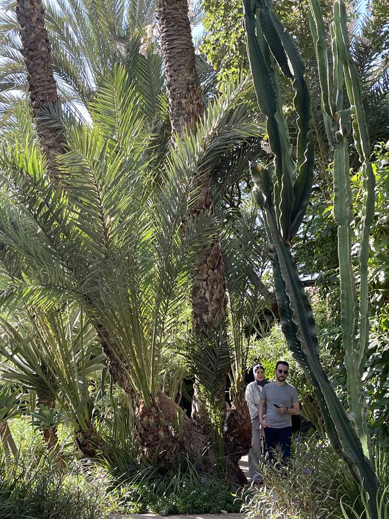 Jardin Secret Marrakech (2) Jardin Secret Marrakech (2)