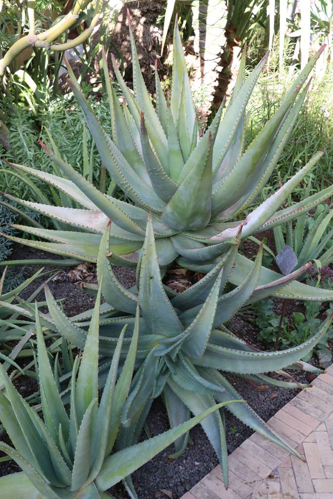 Jardin Secret Marrakech (20) Jardin Secret Marrakech (20)