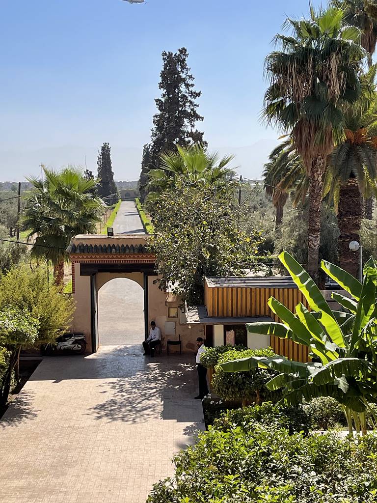 Jardin de la Ménara (19)