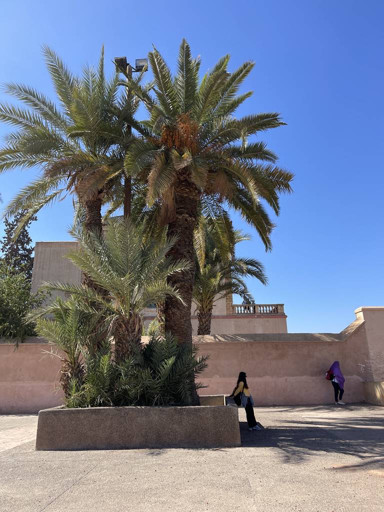 Jardin de la Ménara (9) Jardin de la Ménara (9)