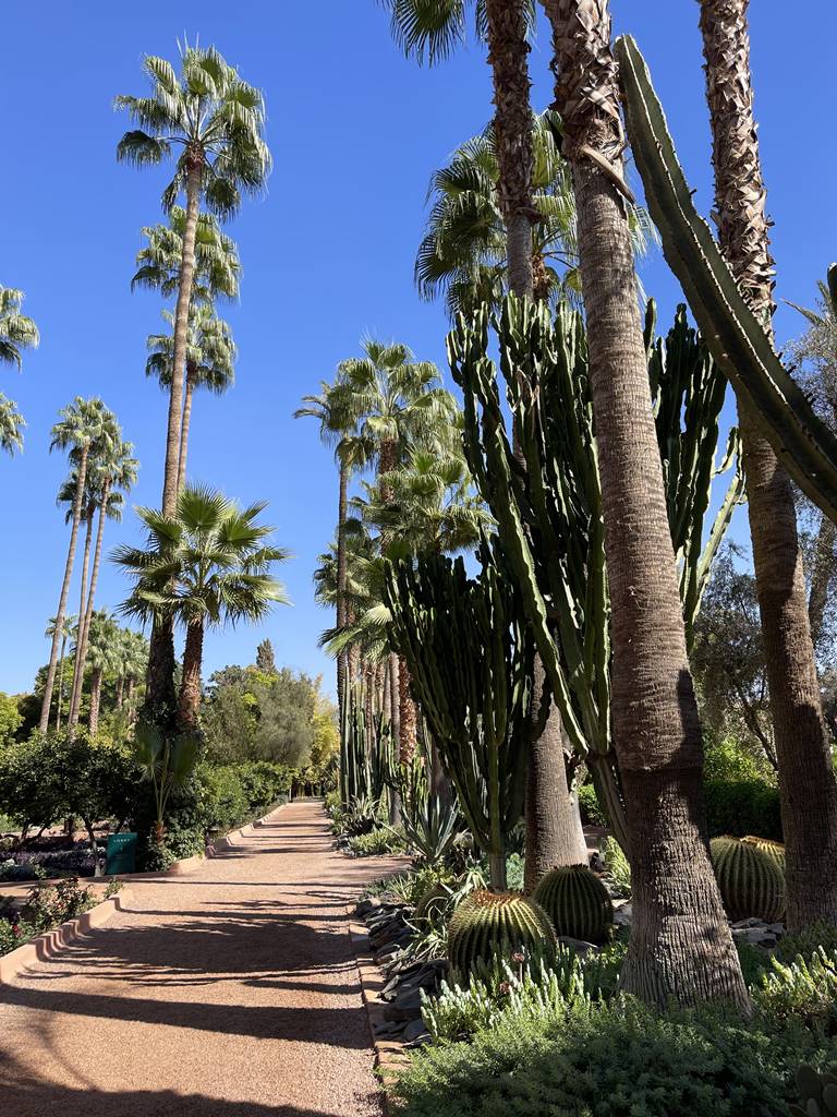 La Mamounia (20) La Mamounia (20)