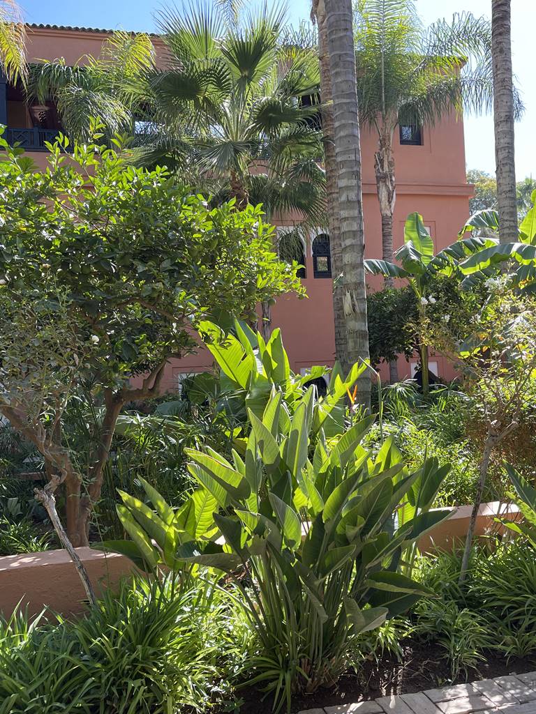 La Mamounia (30) La Mamounia (30)