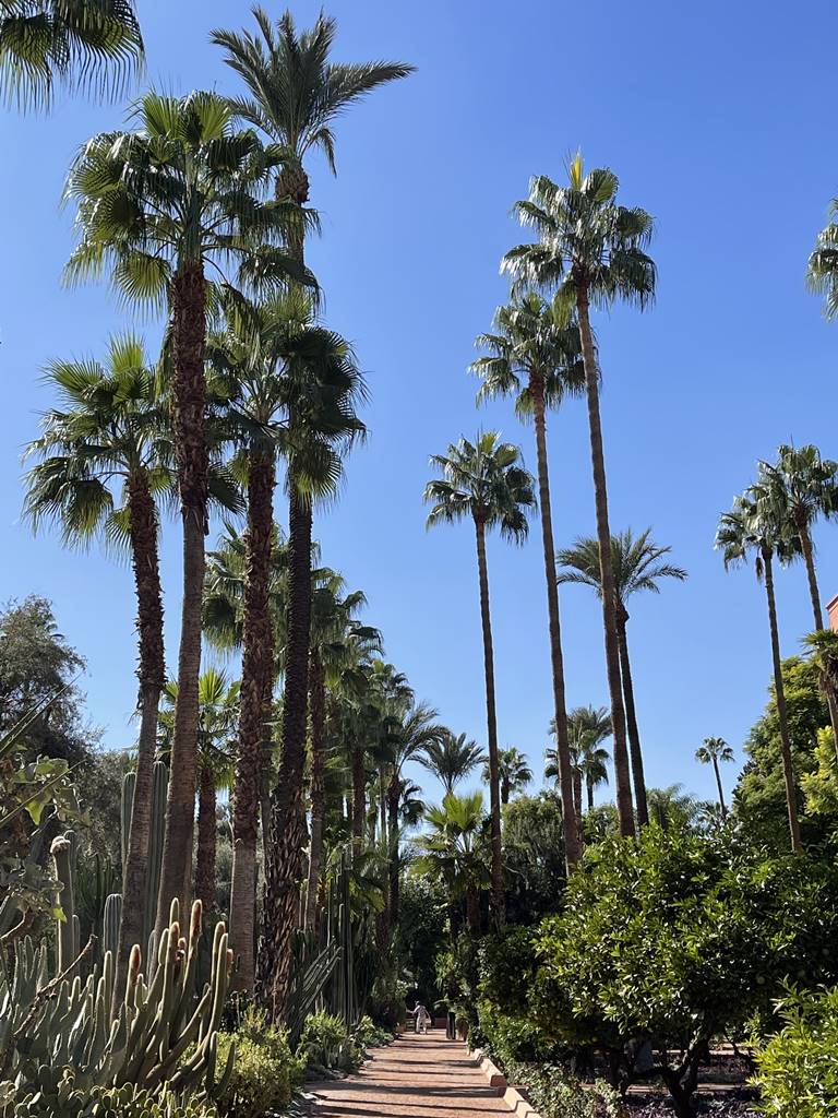 La Mamounia (33) La Mamounia (33)