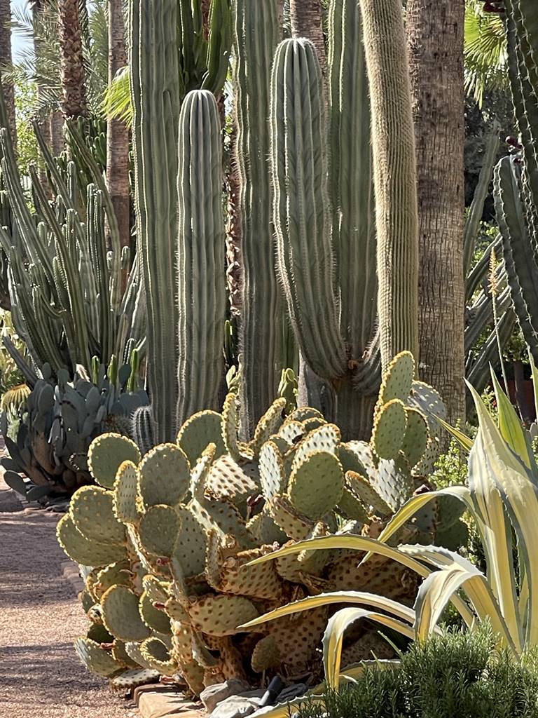 La Mamounia (34) La Mamounia (34)