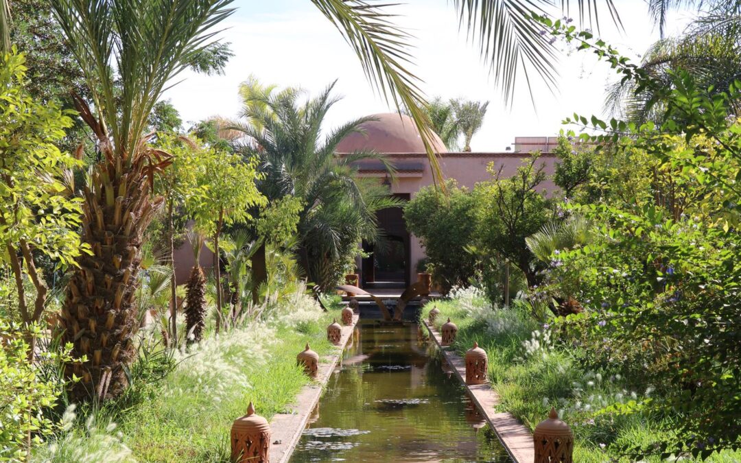 Jardin du Musée de la Palmeraie, Marrakech
