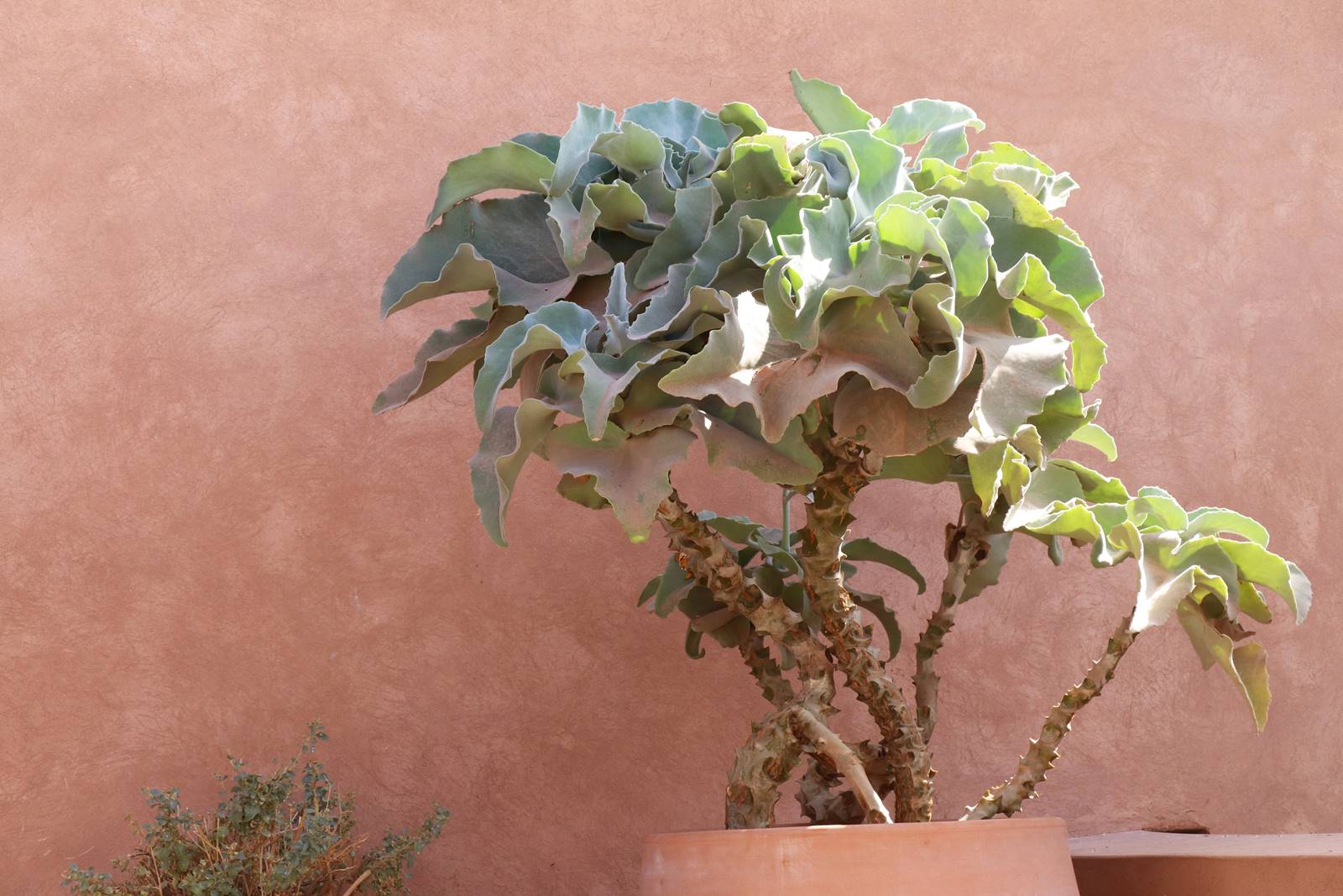 Musée Macaal Marakech (1) Musée Macaal Marakech (1)