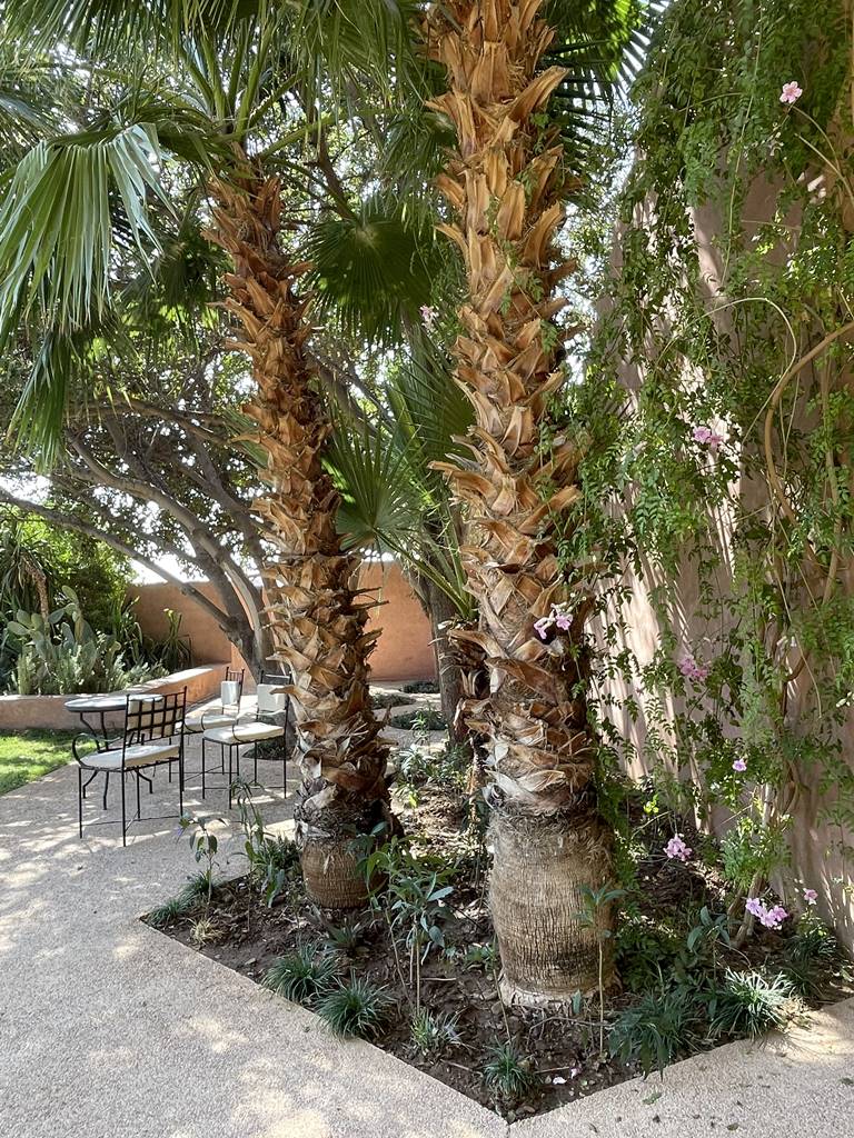 Musée Macaal Marakech (13) Musée Macaal Marakech (13)