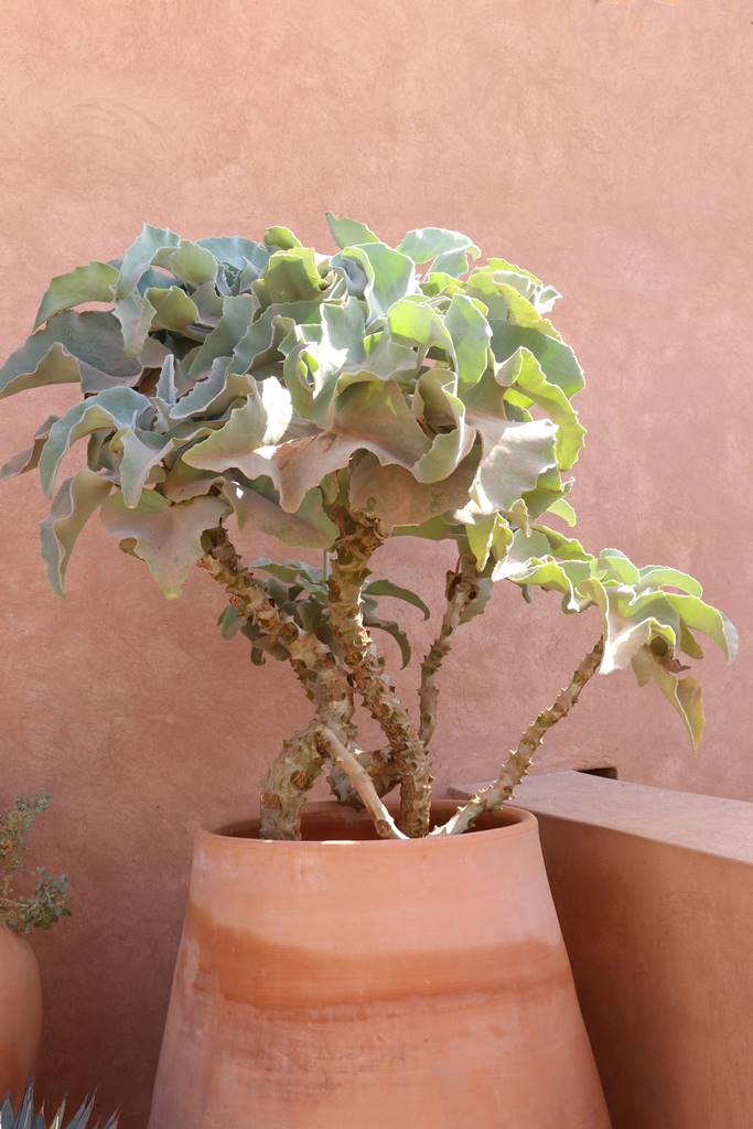 Musée Macaal Marakech (20)