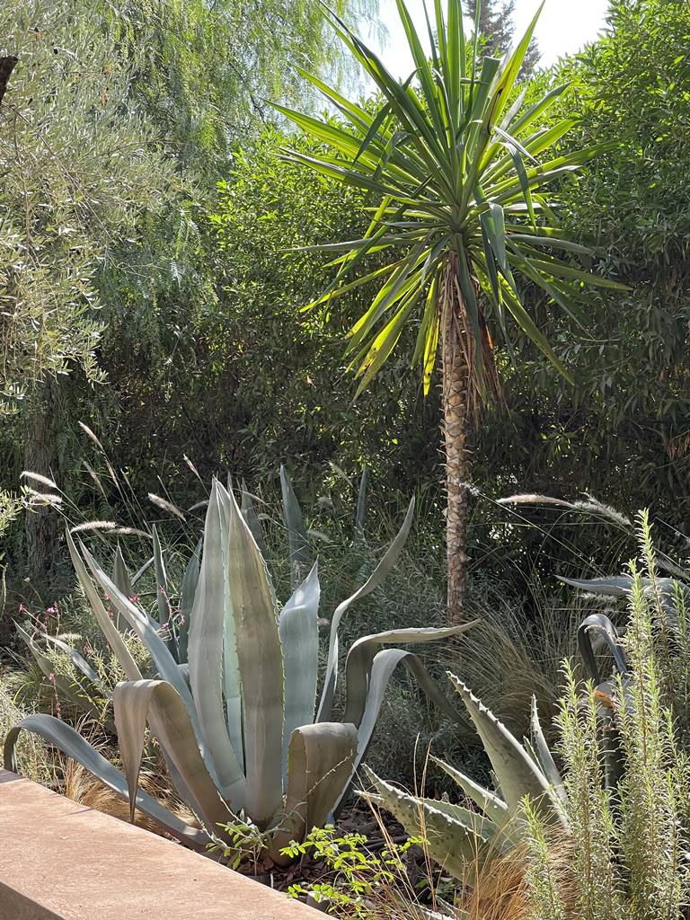 Musée Macaal Marakech (9) Musée Macaal Marakech (9)