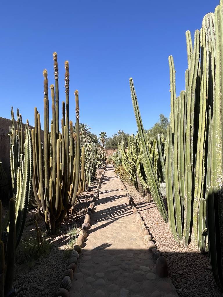 Musée de la Palmeraie (13)