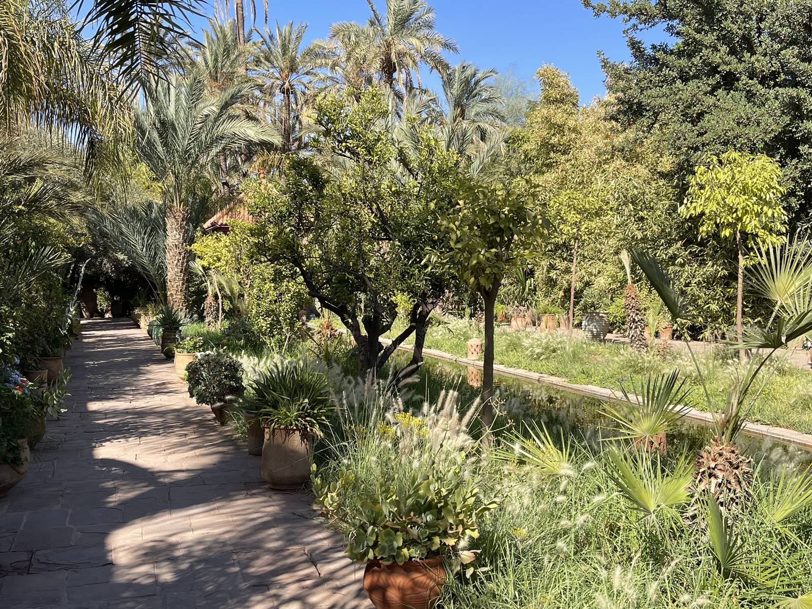 Musée de la Palmeraie (15) Musée de la Palmeraie (15)