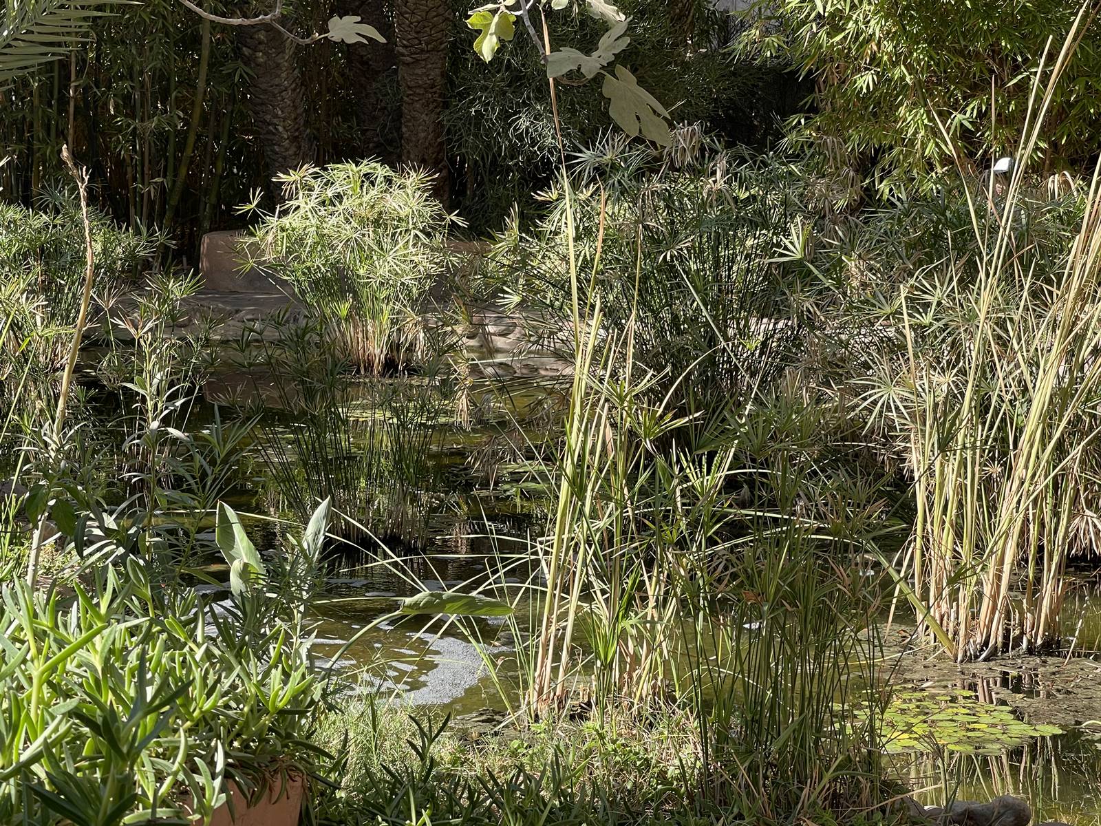 Musée de la Palmeraie (18) Musée de la Palmeraie (18)