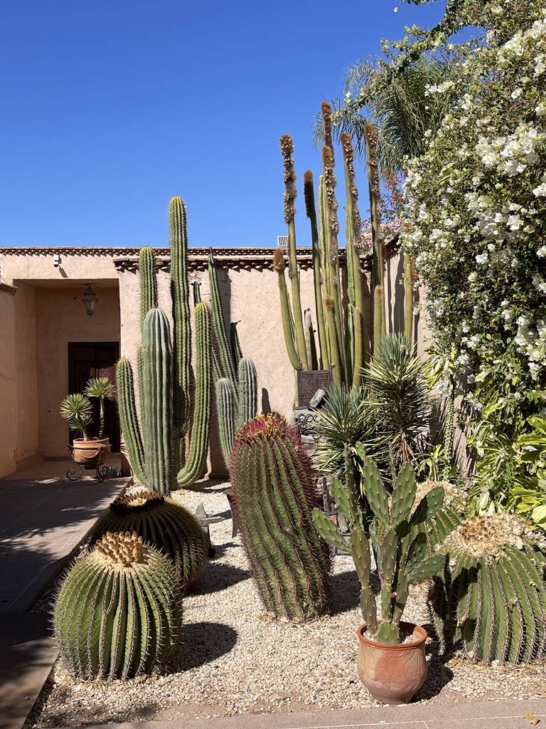 Musée de la Palmeraie (2) Musée de la Palmeraie (2)