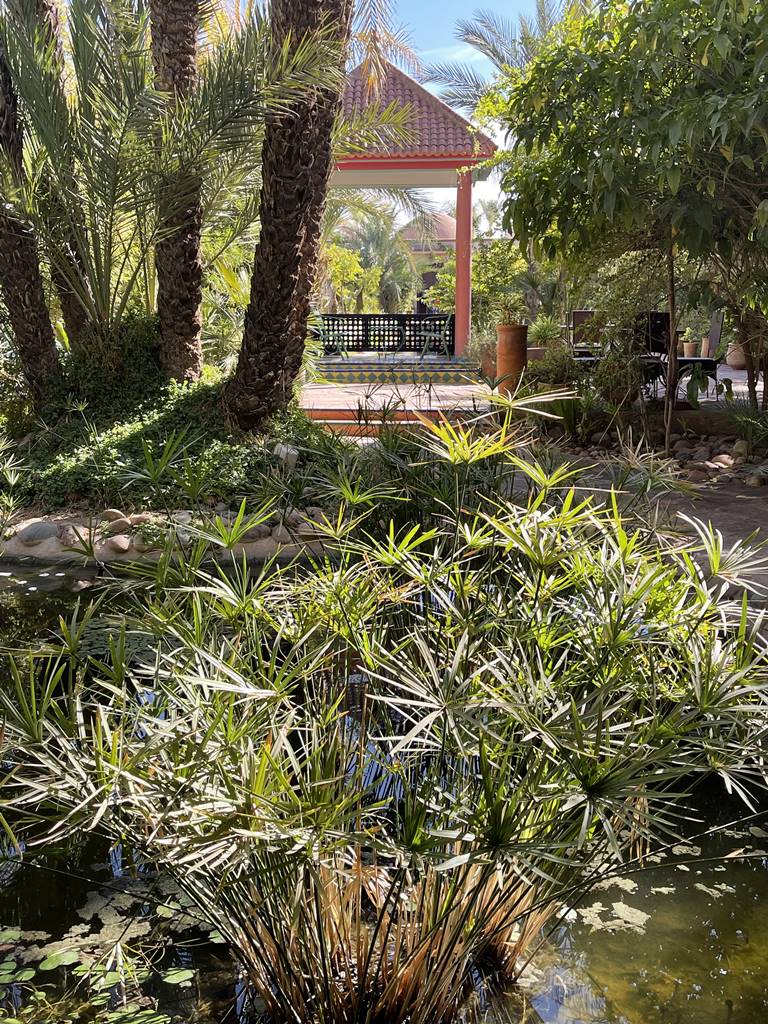 Musée de la Palmeraie (26) Musée de la Palmeraie (26)