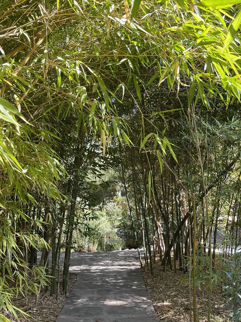 Musée de la Palmeraie (27) Musée de la Palmeraie (27)