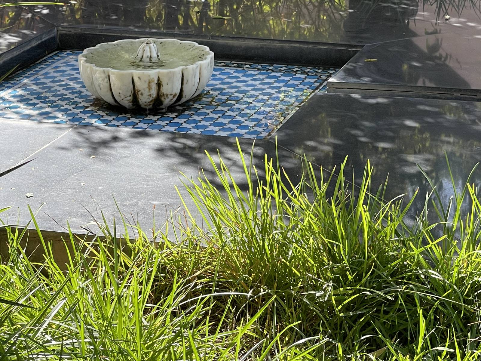 Musée de la Palmeraie (29) Musée de la Palmeraie (29)