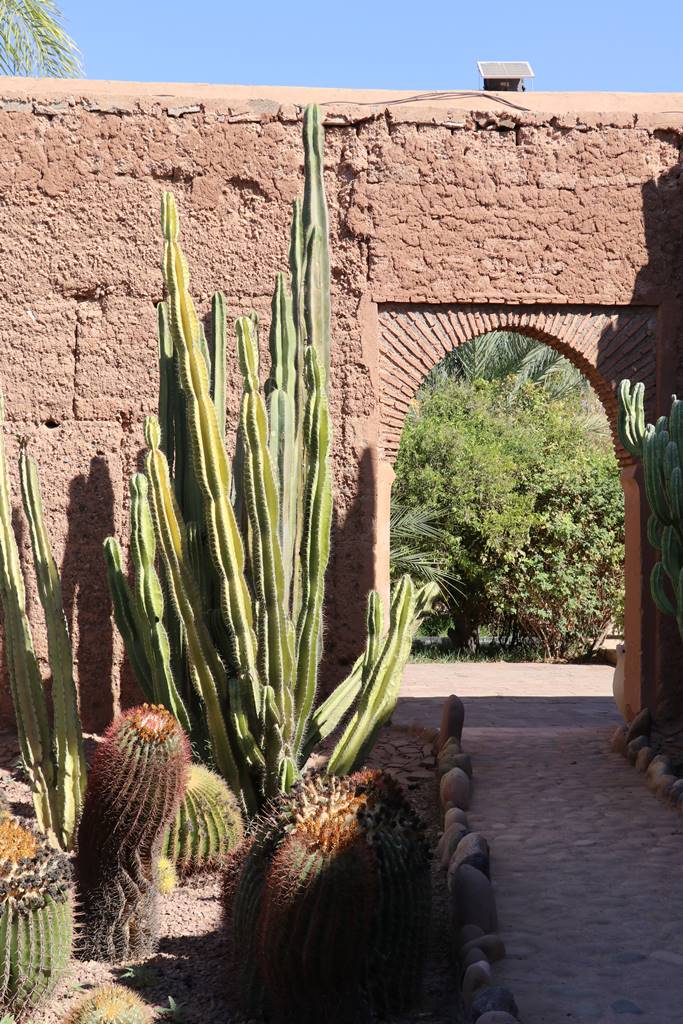 Musée de la Palmeraie (49) Musée de la Palmeraie (49)