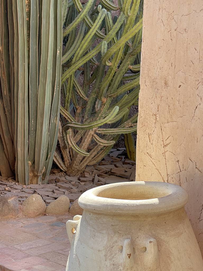 Musée de la Palmeraie (5) Musée de la Palmeraie (5)