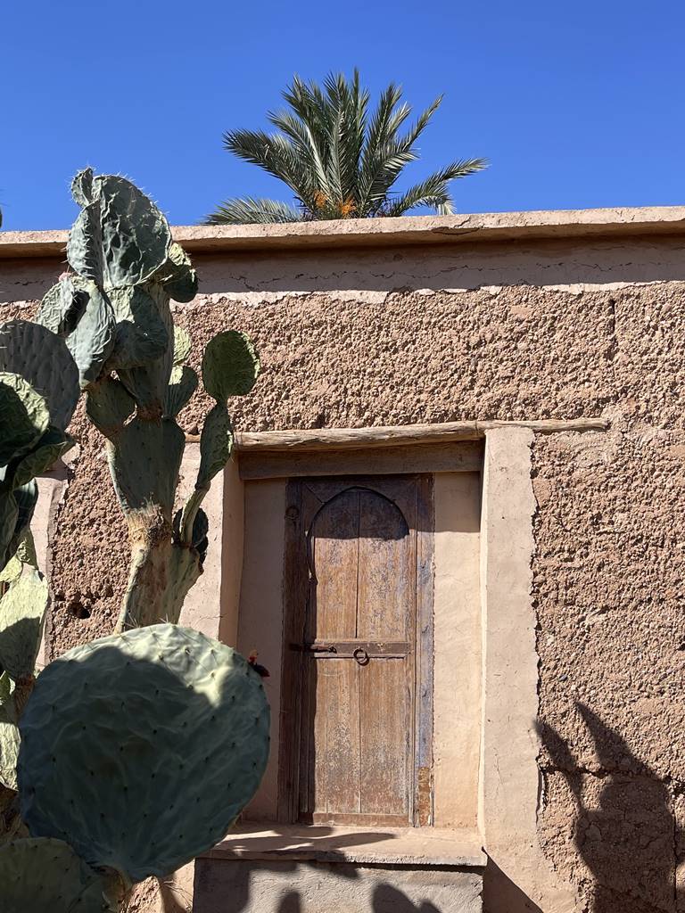 Musée de la Palmeraie (9) Musée de la Palmeraie (9)