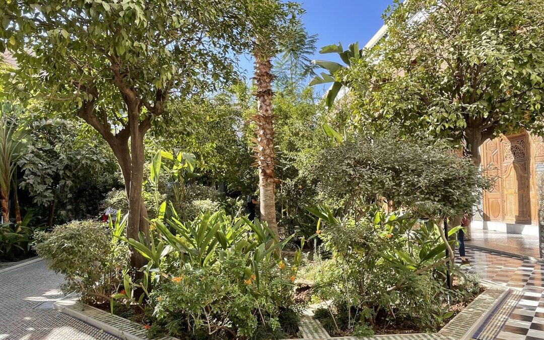 Dar El Bacha, Musée des Confluences, Marrakech