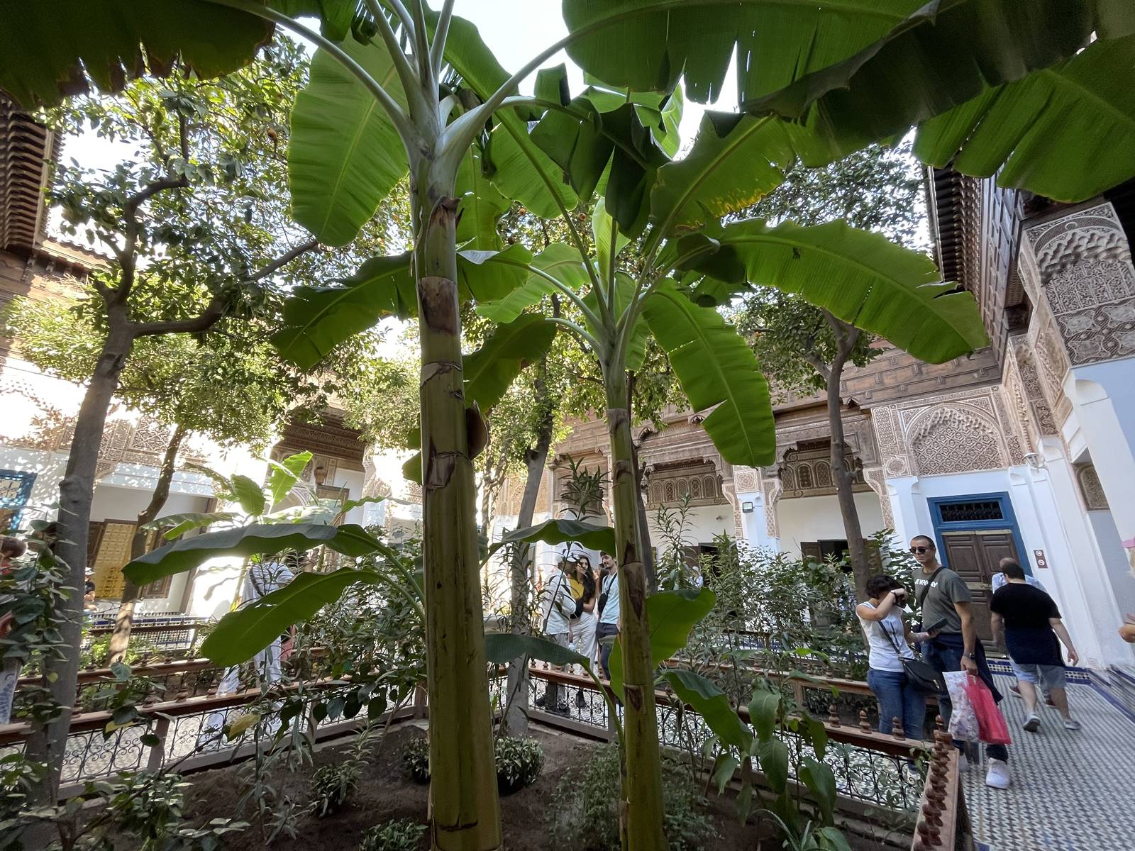 Petit Riad Bahia (8) Petit Riad Bahia (8)