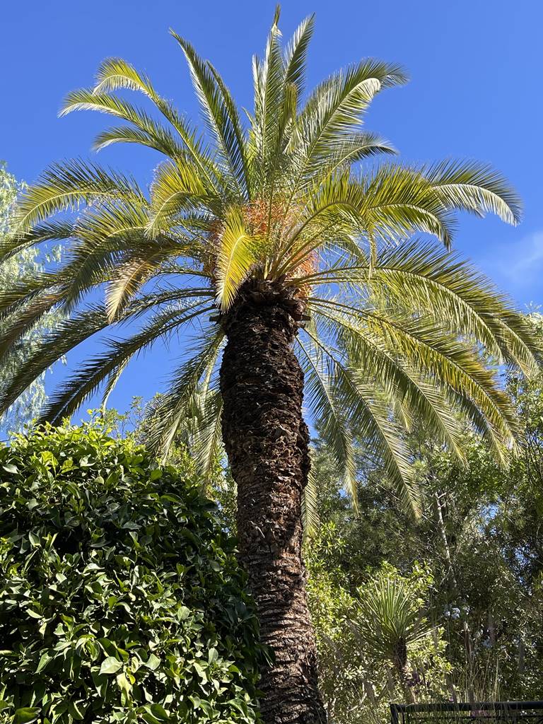 Anima jardin de sculptures (14) Anima jardin de sculptures (14)